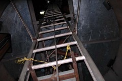 DSCN5302